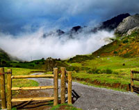 The fertile pastures of Asturias, Spain